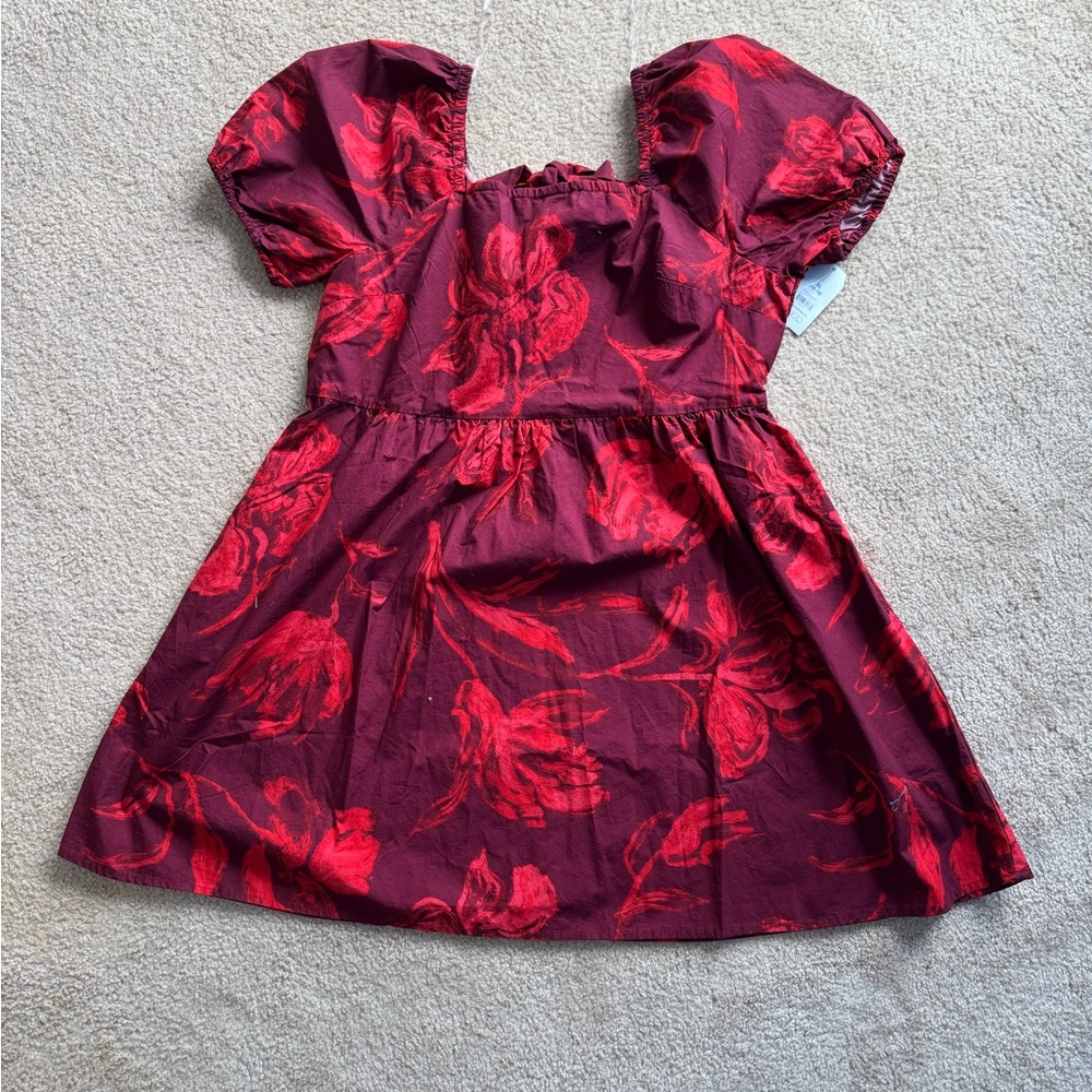 Time and Tru Burgundy Dress with Red Floral Print and Puff Sleeves